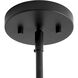 Vissi 4 Light 11.75 inch Matte Black Indoor Pendant Ceiling Light